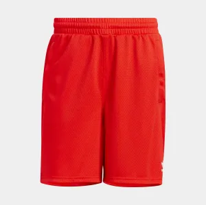 Essentials Mesh Shorts Mens Shorts (Red)