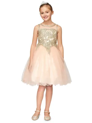Girls Multi Color Gold Trim Wire Tulle Flower Girl Junior Bridesmaid Dress 4-20