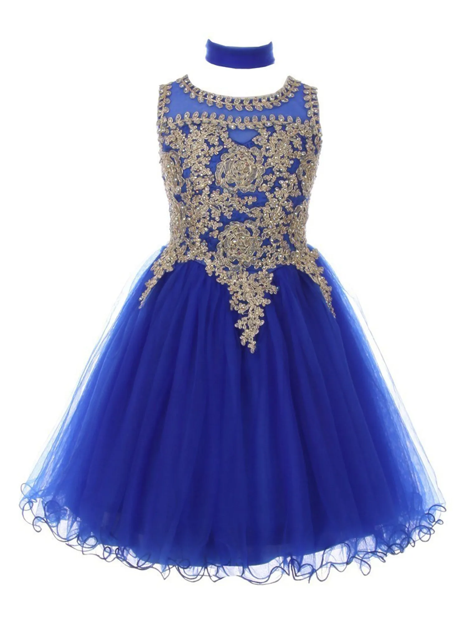 Girls Multi Color Gold Trim Wire Tulle Flower Girl Junior Bridesmaid Dress 4-20