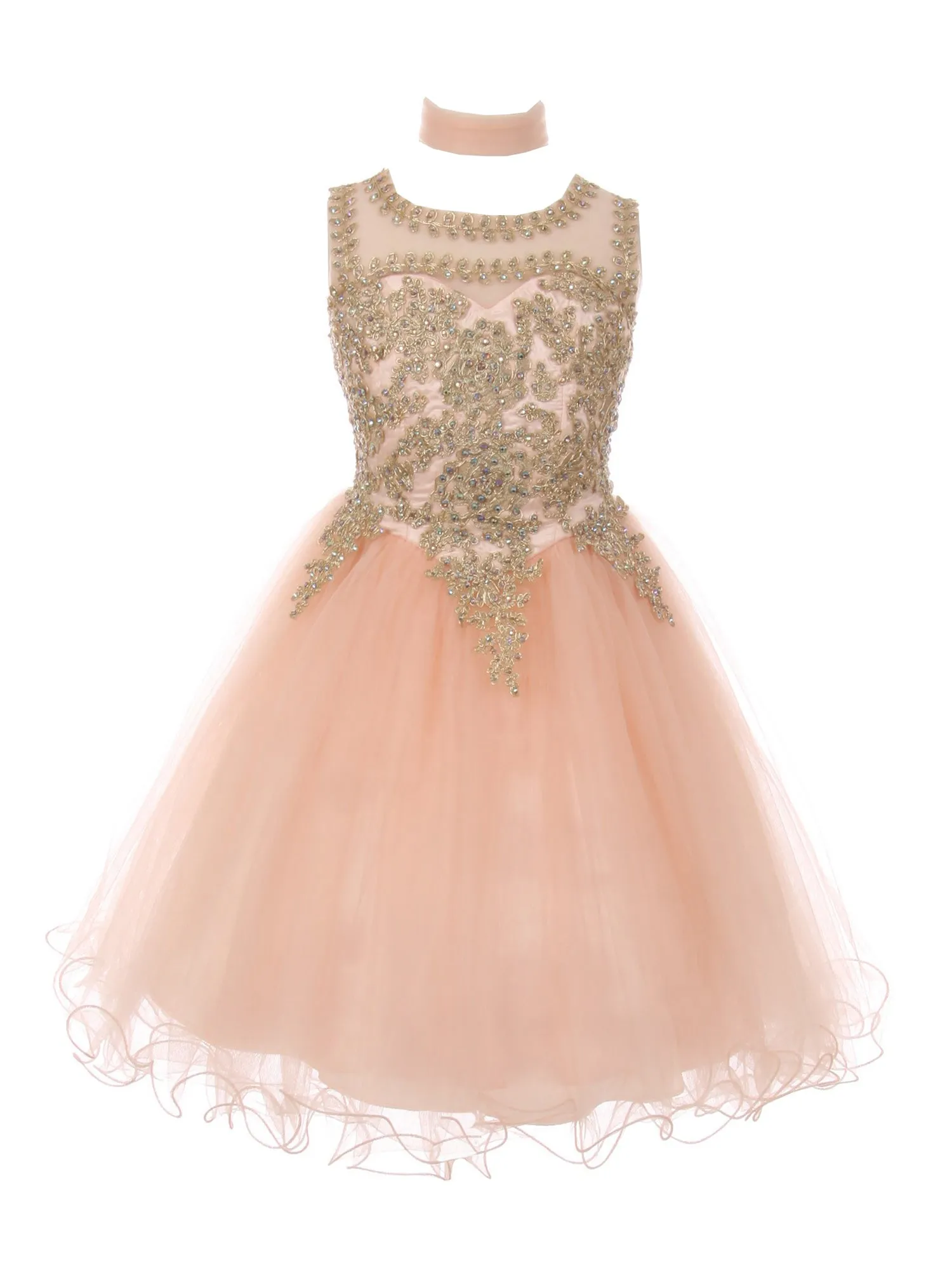 Girls Multi Color Gold Trim Wire Tulle Flower Girl Junior Bridesmaid Dress 4-20