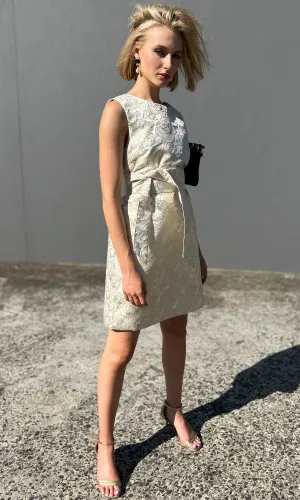 hoss Babette Silk Dress -  Pale Gold Brocade