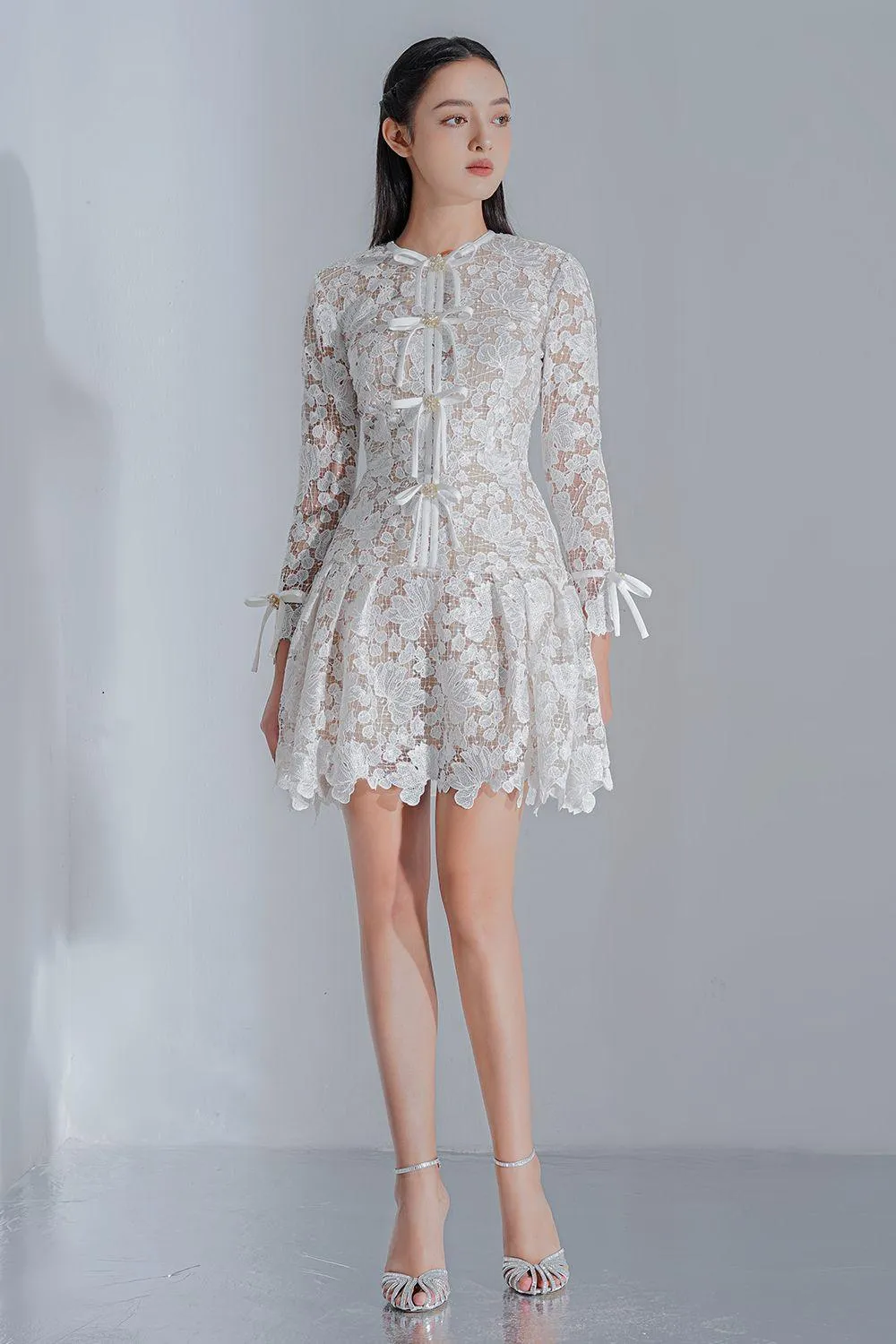 Quinnley Drop Waist Round Neck Lace Mini Dress